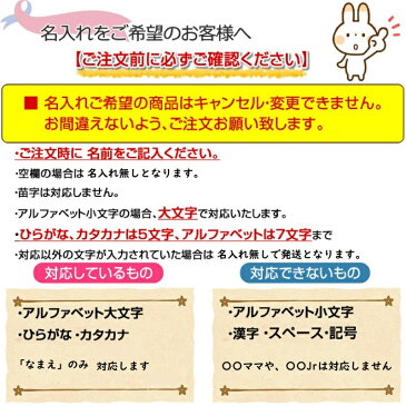 和柄 ミニタオル　名入れ可能　メール便　タオルハンカチ　グッズ　3枚以上より注文承ります