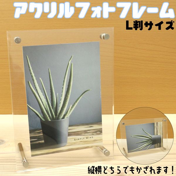 �Ĳ��ɤ���Ǥ����륢�����ե��ȥե졼�� ������륹����� �̿�Ω�� LȽ������ �������ե졼�� ���ꥢ �Ĳ����� DS-002 ����̵��