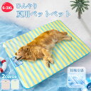 ペットベッド 夏 ひんやり 犬 猫 ベッド ペット用 クールソファベッド 接触冷感素材 小型犬 中型犬 大型犬 室内 犬 イヌ 猫 ネコ ねこ 春 夏 クールマット 速乾 暑さ対策 軽量 涼しい 快適 選べる6サイズ(4)