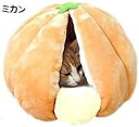 ベッドハウス ペットベット オールシーズン 犬用 M 猫用 ベッドハウス 冬用 ミカン 暖かい オールシーズン用 ベッドハウス ペット用 べッド 冬用 犬 ベッド 猫 冬 ドーム型 カドラー