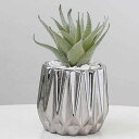 フェイクグリーン ミニ サボテン ポット 置き型 インテリア リアル かわいい 多肉植物 おしゃれ 観葉植物 人工植物装飾 緑 卓上 鉢植え シンプル オフィス 室内 お世話不要 枯れないグリーン 鉢