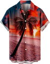 アロハシャツ メンズ 半袖 大きいサイズ S-5XL ビーチ 映画 海 花柄 ハワイ Hawaii シャツ 開襟 カジュアル レトロ 総柄 シャツジャケット Tシャツ ファッション ビジネス リゾート