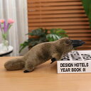 カモノハシ ぬいぐるみ 抱き枕 リアル グッズ 大きい 本物そっくり 癒し系 動物 ロング クリスマスギフト 誕生日プレゼント ブラウン 35cm 新年のギフト お癒し縫い包み 添い寝枕 可愛い 抱き(3)