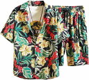 アロハシャツ メンズ セットアップ Tシャツ ショートパンツ ハーフパンツ カジュアル おしゃれ 花柄シャツ 半袖 上下セット 2点セット ビーチシャツ 旅行 ...