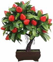 造花 人工植物 盆栽 オレンジ 桃果 樹 鉢植え家庭用 リビングルーム 装飾花セット 盆栽松の木