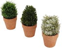 3個 造花 インテリア 花瓶付き 光触媒 人工観葉植物 玄関 フェイクグリーン 飾り ウエディング 贈り物 お見舞い プレゼント ミニ インテリアグリーン
