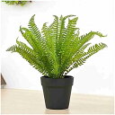 人工観葉植物 鉢植え 人工観葉植物 シミュレーションプラント プラスチックフラワー ペルシャグラスシダ