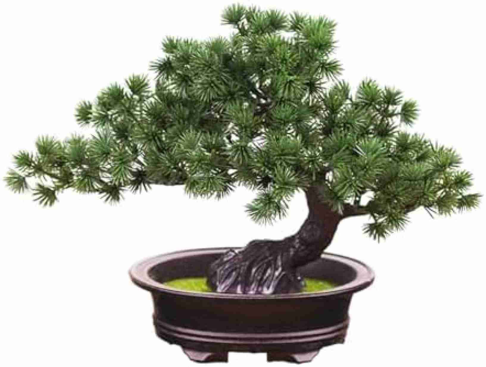 楽天市場】ミニ盆栽（造花・人工観葉植物｜花・観葉植物）：花