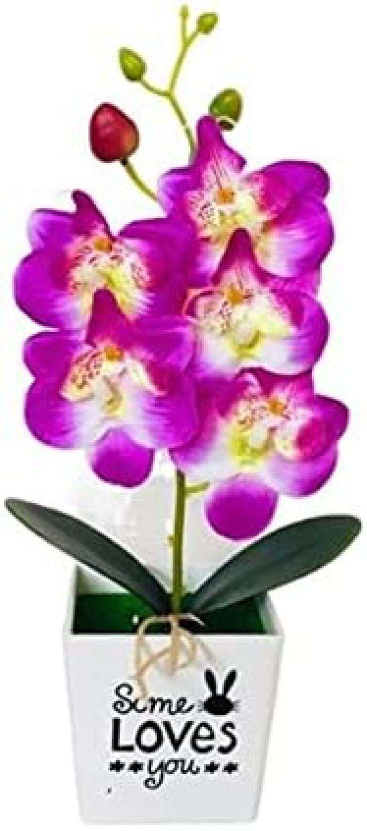 造花 人工胡蝶蘭 インテリア 花瓶付き 枯れない花 アートフラワー 人工観葉植物 光触媒 卓上 家庭 飾り 装飾 玄関 ギフト プレゼント お見舞い 事務所 喫茶店 結婚式 パーティー インテリアグリ