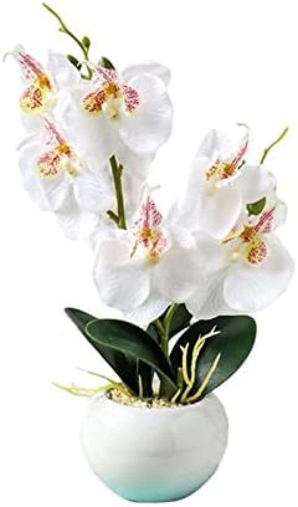 人工植物 フェイク鉢植え水やりなし蝶蘭テーブルデコレーションフェイクシルク植物ポットオーナメント造花 フェイク植物の装飾