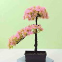 迎客松 人工観葉植物 鉢植え 盆栽 園芸 玄関 茶室 事務室 ガーデン オフィス リビングルーム 本物そっくり 植物 枝 インテリア 観葉植物 お祝い お詫び 装飾 撮影用小物 お見舞い 飾り物 世話