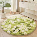 ラグ おしゃれ マット 滑り止め 柔らかい 防音絨毯 ふわふわ 防ダニ 抗菌防臭 吸湿速乾 床保護 耐摩耗性 家庭用 リビング 寝室 オールシーズン 四季通用