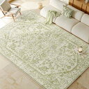 ラグ おしゃれ カーペット 滑り止め マット 柔らかい 防ダニ 抗菌防臭 耐摩耗性 撥水加工 大きい 床保護 防音 家庭用 寝室 リビング 冷房 床暖房対応 四季通用 オールシーズン
