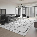 ラグ おしゃれ カーペット 滑り止め マット 柔らかい 撥水加工 防ダニ 抗菌防臭 大きい 防音 耐摩耗性 床保護 家庭用 寝室 リビング 冷房 床暖房対応 四季通用 オールシーズン