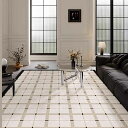 ラグ おしゃれ カーペット マット 滑り止め 柔らかい 防ダニ 抗菌防臭 耐摩耗性 撥水加工 大きい 防音 床保護 寝室 家庭用 リビング 冷房 床暖房対応 四季通用 オールシーズン