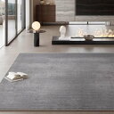 ラグ おしゃれ カーペット 滑り止め マット 柔らかい 撥水加工 防ダニ 抗菌防臭 大きい 耐摩耗性 床保護 防音 寝室 家庭用 リビング 冷房 床暖房対応 オールシーズン 四季通用