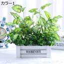 【全店10%OFFクーポン】鉢植え 造花 観葉植物 フェイクグリーン インテリア 光触媒 おしゃれ 癒しの グリーン デコレーション 枯れない 手作り 本物そっくり お祝い ギフト 花器付き (木柵)