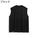 セーターベスト ニットベスト ケーブル編み メンズ Vネック 春秋 秋服 暖かい ケーブル編み 日系 洗える ゆったり 韓国 おしゃれ かっこいい 着回し 重ね着 ノースリーブ ベスト ブラック L 大きい(4)