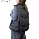 立ち襟 軽量 ダウンベスト 中綿ベスト レディース 秋冬服 防寒 あったか 綿 パファーベスト 無地 ファッション シンプル パーティー 部屋着 ベスト 大きいサイズ ゆったり ジッパー ポケット 袖なし