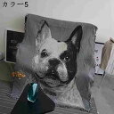 ソファーカバー 北欧風 ブランケット マルチカバー ソファカバー AB面 両面兼用 おしゃれ フリンジ付き 綿 ひざ掛け 160*260cm オールシーズン ベ...