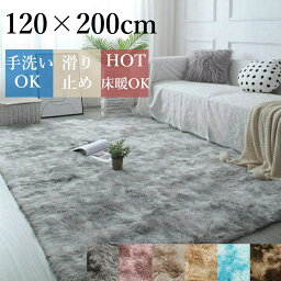 【全店10%OFFクーポン】120×200cm ラグ ラグマット 洗える カーペット マイクロファイバー シャギーラグ 北欧風 オールシーズン 長方形 滑り止め 低反発 ホットカーペットオシャレ じゅうたん 夏色 柔らかい リビング ベッドルーム 子供部屋 四季通用 敬老の日