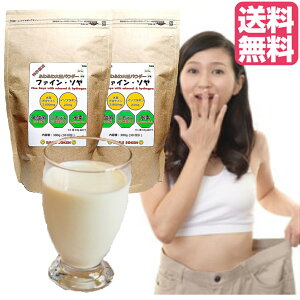 【100% 大豆たんぱく質 添加物不使用 アミノ酸スコア100】2個セット オーガニック お徳用 大豆パウダー ソイプロテイン 水素 ミネラル 乳酸菌 イソフラボン ダイエット アスリート スーパーフード グルテンフリー 送料無料 有機 無添加 ファインソヤ おすすめ 国産