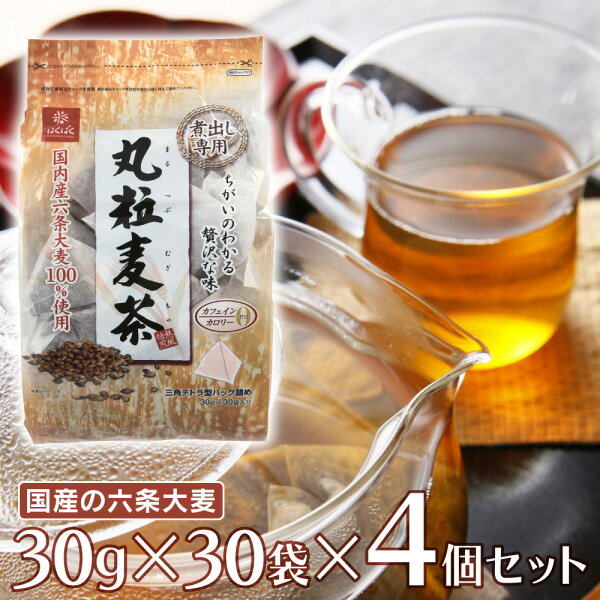 六条麦茶 2l みんな探してる人気モノ 六条麦茶 2l 六条麦茶 2l みんな探してる人気モノ 六条麦茶 2l
