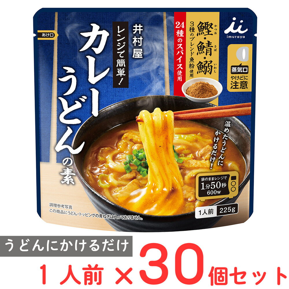 井村屋 レンジで簡単カレーうどんの素 1人前×30個