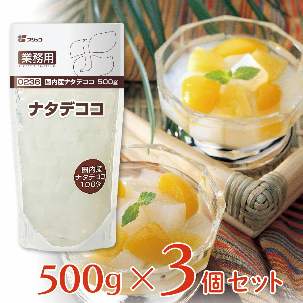 フジッコ 業務用 国内産ナタデココ 500g×3個 シラップ漬け 大容量 原料 製菓 材料 食物繊維 トッピングのサムネイル