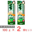 デンティス チューブ×2個 ノンフード 日用品 歯磨き粉 ハミガキ粉 歯みがき粉 歯磨き 歯みがき 口臭 口臭ケア 口臭予防 口臭対策 予防 ブレスケア オーラ...