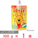 クインビーガーデン くまのプーさん はちみつパウチ 100g
