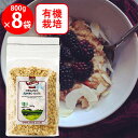 アララ オーガニックジャンボオーツ 800g×8個