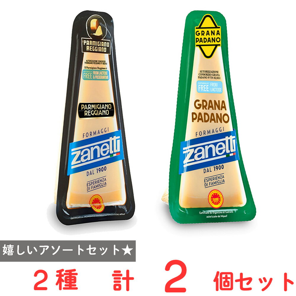 [冷蔵] ムラカワ ザネッティ パルミジャーノ レッジャーノポーション 150g 1個 グラナパダーノ 150g 1個