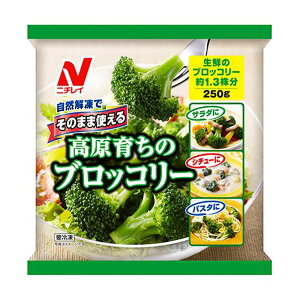 冷凍食品 ニチレイフーズ そのまま使える高原育ちのブロッコリー 250g×6個 フローズンアワード 入賞 ブロッコリー 野菜 エクアドル 自然解凍 流水解凍 冷凍 手軽 サラダ