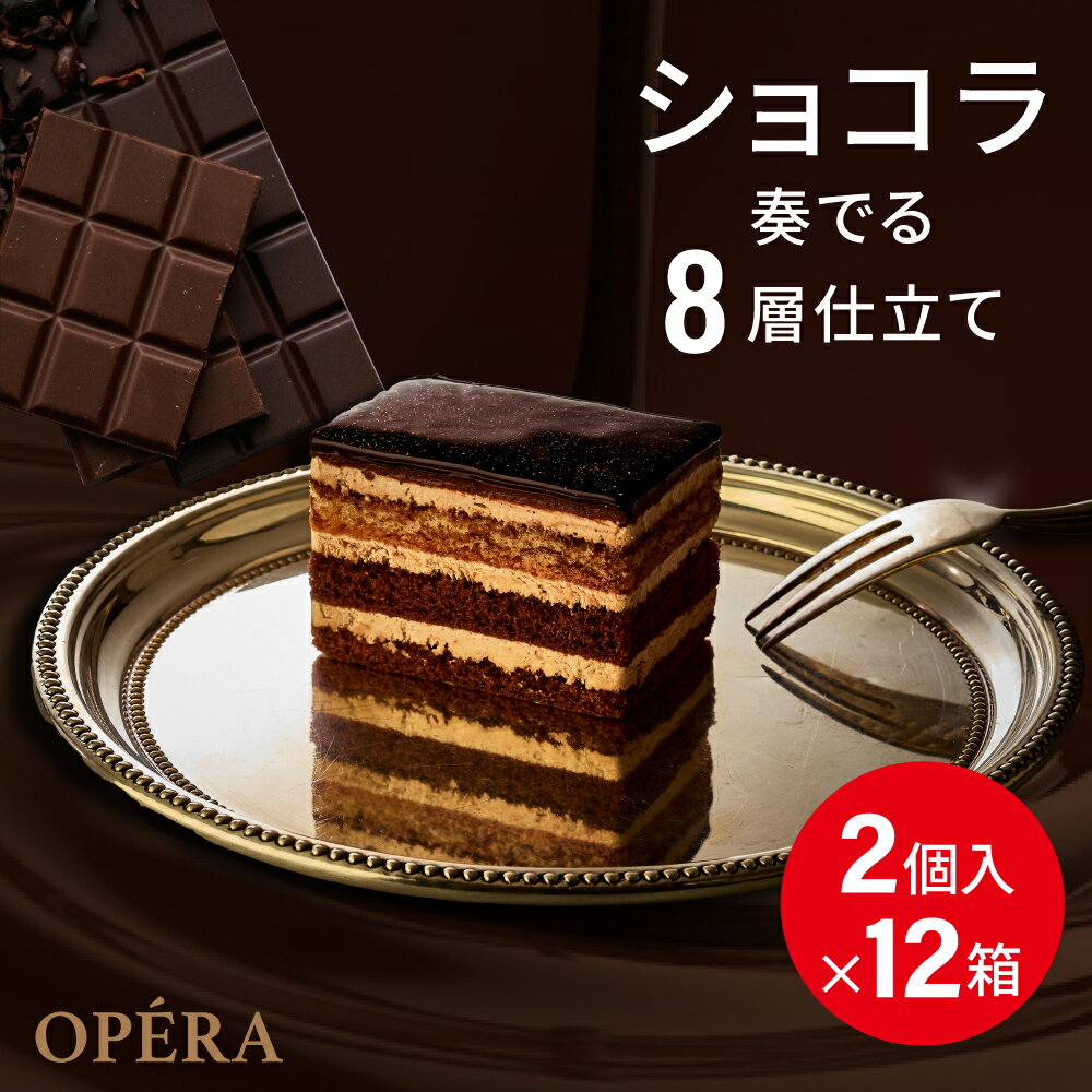 チョコレートケーキ [冷凍食品] Delcy オペラ 2個入（100g）×12個 8層 チョコレート チョコケーキ 冷凍 お取り寄せ スイーツ デルシー ガトー ショコラ 洋菓子