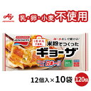 冷凍食品 味の素冷凍食品 米粉でつくったギョーザ 12個×10袋 ギョーザ 餃子 ぎょうざ ギョウザ 米粉 アレルゲン アレルギー 3大アレルゲン不使用 7大アレルゲン不使用 小麦粉不使用 冷凍 手間抜きス 冷凍惣菜 惣菜 中華 点心 おかず お弁当 おつまみ 軽食 冷食 時短