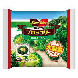 冷凍食品 ハインツ日本 ブロッコリーボリュームパック 500g×10個 | ブロッコリー エクアドル 野菜 ベジタブル ぶろっこりー 大容量 ボリュームパック アンデス s