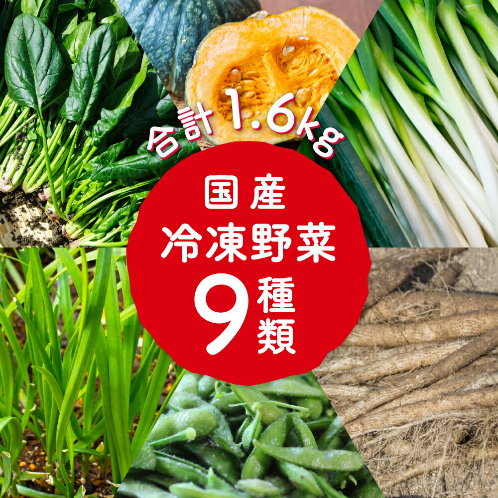 [冷凍食品] DELCY 国産 冷凍野菜 9品 詰め合わせ セット デルシー 安全 安心 国産野菜 バラ凍結 IQF 冷凍野菜 カット野菜 カット カット済 食材 食品 まとめ買い アソート ギフト 九州産 ほうれん草 小松菜 北海道産 枝豆 南瓜 ねぎ ニラ ごぼうおすすめ