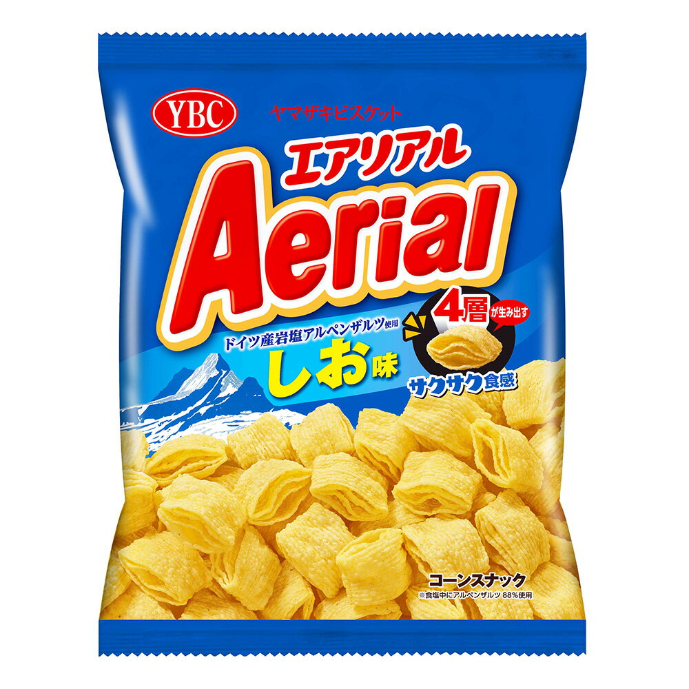ヤマザキビスケット エアリアル ドイツ産岩塩アルペンザルツ使用しお 75g×12個 新商品のサムネイル