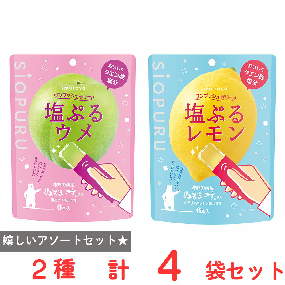 井村屋 塩ぷる2種アソートセット（各2個）レモン・ウメ