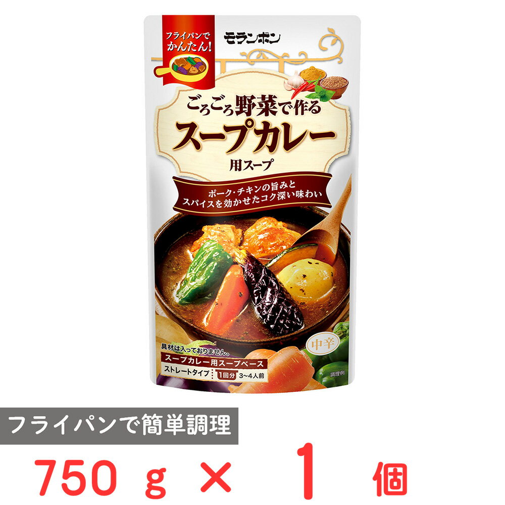 モランボン ごろごろ野菜で作る スープカレー用スープ 750g