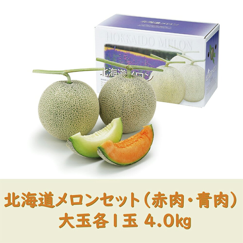 北海道メロンセット（赤肉・青肉） 大玉各1玉 4kg