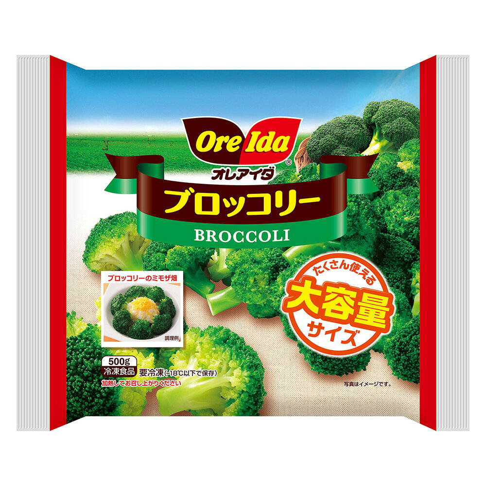 冷凍食品 ハインツ日本 ブロッコリーボリュームパック 500g | ブロッコリー エクアドル 野菜 ベジタブル ぶろっこりー 大容量 ボリュームパック アンデス