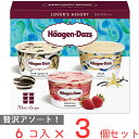 アイス ハーゲンダッツ アソートボックス ラバーズ アソート （70ml×6個）×3箱