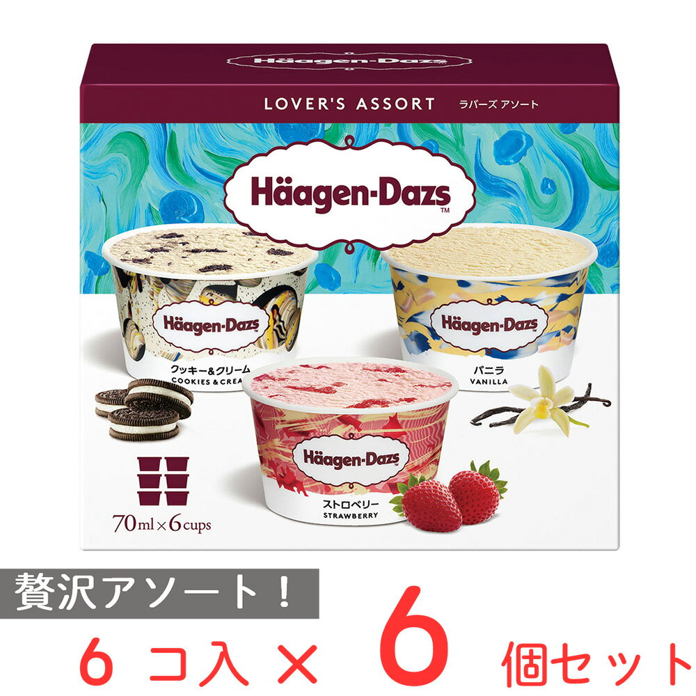  ハーゲンダッツ アソートボックス ラバーズ アソート （70ml×6個）×6箱