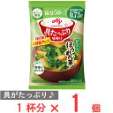 味の素 具たっぷり味噌汁ほうれん草 減塩 11.1g