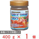 テーオー食品 ガーリックシュリンプソース 400g