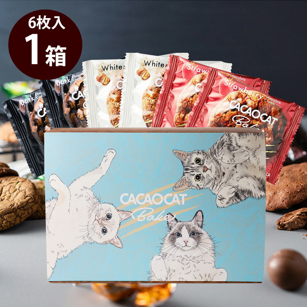 DADACA　CACAOCATBake限定 6個 dadaca チョコレート ダダカ チョコ カカオキャット 缶 クッキー ベイクのサムネイル