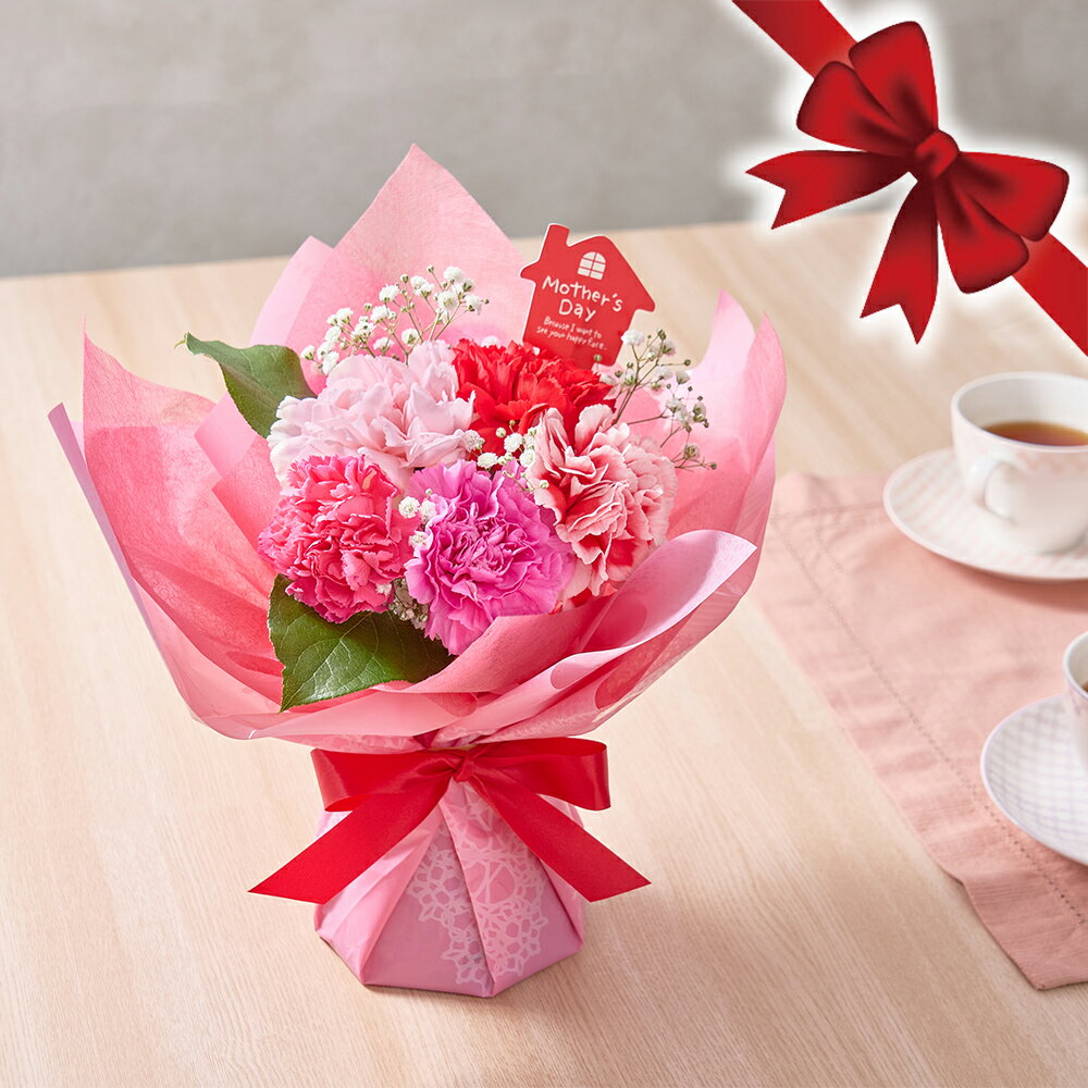 そのまま飾れるブーケ 5色のカラフルカーネーション 母の日 ギフト 花 カーネーション プレゼント  ...