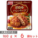 冷凍 味の素 洋食亭ハンバーグ 自家製和風玉葱ソース 160g×6個 冷凍惣菜 惣菜 洋食 おかず お弁当 軽食 冷凍 冷食 時短 手軽 簡単 美味しい